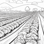 Cabbage Field: Farm-Scene Coloring Pages 2
