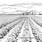 Cabbage Field: Farm-Scene Coloring Pages 3