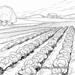 Cabbage Field: Farm-Scene Coloring Pages 4
