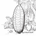 Cacao Pod from Theobroma Tree Coloring Pages 2