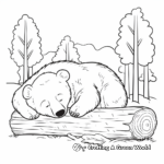 Calm Sleeping Bear in the Woods Coloring Pages 2