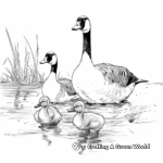 Canada Geese Family Coloring Sheets for Kids 2
