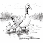Canada Geese Family Coloring Sheets for Kids 3