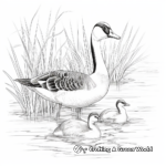 Canada Geese in their Natural Habitat: Pond-Scene Coloring Pages 1