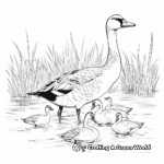 Canada Geese in their Natural Habitat: Pond-Scene Coloring Pages 4
