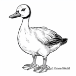 Canadian Goose Coloring Pages 2