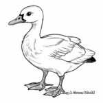 Canadian Goose Coloring Pages 3