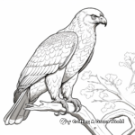 Captivating Bird of Prey Hawk Coloring Pages 4