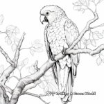 Captivating Macaw in its Natural Habitat Coloring Pages 4