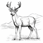 Captivating Majestic Mule Deer Coloring Pages 4
