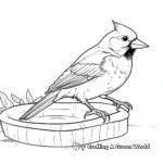 Cardinal Bird Feeding Coloring Pages 4