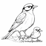 Cardinal Family Coloring Pages: Male, Female, and Fledglings 1