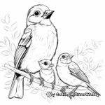 Cardinal Family Coloring Pages: Male, Female, and Fledglings 2