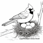 Cardinal Nest with Eggs Coloring Pages 2
