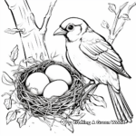 Cardinal Nest with Eggs Coloring Pages 3