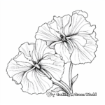 Carnation Flower and Butterfly Coloring Pages for Seniors 1