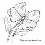 Carnation Flower and Butterfly Coloring Pages for Seniors 2