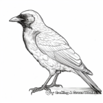 Carrion Crow Realistic Coloring Pages 1