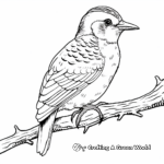 Cartoon Yellow-Bellied Sapsucker Coloring Pages 4