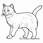 Challenging Burmese Cat Coloring Pages 1