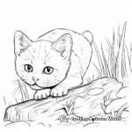 Challenging Burmese Cat Coloring Pages 3