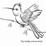 Challenging Wire-Crested Thorntail Coloring Pages 3