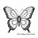 Charming Butterfly Coloring Pages for Adults 1