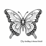 Charming Butterfly Coloring Pages for Adults 4