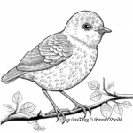 Charming Carnaby's Wren Coloring Pages 1
