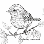 Charming Carnaby's Wren Coloring Pages 4