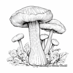 Charming Cordycep Mushroom Coloring Pages 2