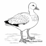 Charming Egyptian Goose Coloring Pages 1