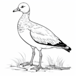 Charming Egyptian Goose Coloring Pages 2