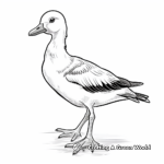 Charming Egyptian Goose Coloring Pages 3