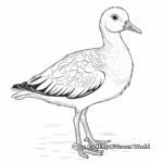 Charming Egyptian Goose Coloring Pages 4