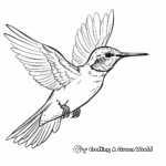 Charming Female Ruby Throated Hummingbird coloring Pages 1