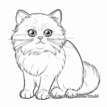 Charming Persian Cat Coloring Pages for Children 3