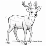 Charming Reindeer Coloring Pages for Christmas 2
