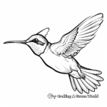 Charming Ruby-Throated Hummingbird Coloring Pages 1