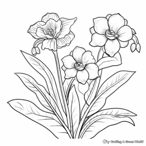 Cheerful Daffodils Spring Coloring Pages 2