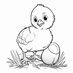 Chick Hatching: Springtime Coloring Pages 2