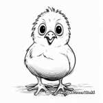 Chick Hatching: Springtime Coloring Pages 3