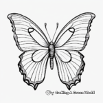 Child-friendly Blue Morpho Butterfly Coloring Pages 3