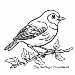 Child-Friendly Oriole Bird Colouring Pages 1