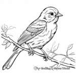 Child-Friendly Oriole Bird Colouring Pages 3