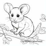 Children’s Favorite Australian Pygmy Possum Coloring Pages 3
