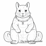 Chinchilla Anatomy Coloring Pages 2
