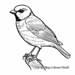 Chipping Sparrow Coloring Pages for Kids 1