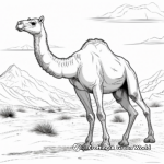 Classic Camel in The Desert Coloring Pages 4