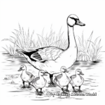 Classic Canada Geese Coloring Pages 2